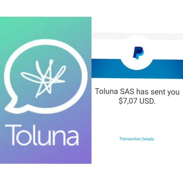 Toluna showing proof of payment via PayPal