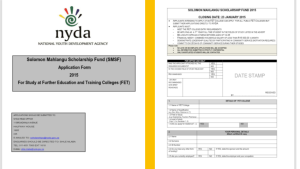Unlock NYDA funding application forms for 2025! Step-by-step guide for South African youth to secure grants and grow businesses.