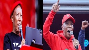 Explore Julius Malema’s salary, net worth, and assets as EFF leader. Uncover controversies and lessons in this detailed guide.