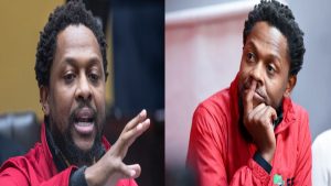 Mbuyiseni Ndlozi’s salary as EFF MP and Power FM host revealed. Discover earnings, career shifts, and practical tips!