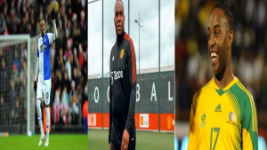 Discover Mpumi Madisa's salary and leadership at Bidvest. Gain insights on diversity, strategy, and success in African business.